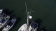 Stop Gull TopMast