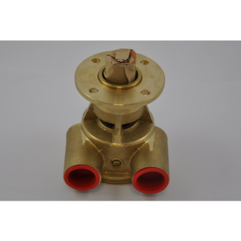 Johnson Pump 10-24119-2 - Self-Priming Bronze Cooling Water Impeller Pump for Marine Engines