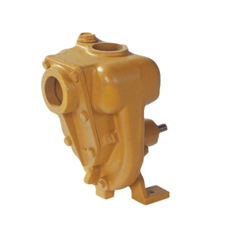 GMP Pump AS60 B2KQ-A "W" Cast Iron Open Shaft Self Suction Pumps