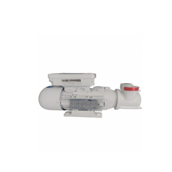 Gianneschi Self-Priming Pump CP 20 G 230V M - 50/60HZ - 0.25KW