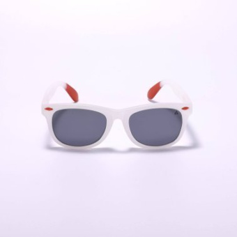 Plastimo P202511 - Typhoon S-Series Sunglasses - Slate / Lime
