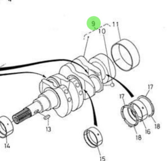 Nanni Diesel 970313889 - Crankshaft Assembly for N2.14 Engines