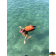 Shark Inflatable Watertight Backpack 35L 760×400 mm Orange - Trem B0770028 Shark Inflatable Watertight Backpack 35L 760×400 mm Orange - Trem B0770028