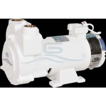 Gianneschi Self-Priming Liquid Ring Pump CP 750 Watts 230V