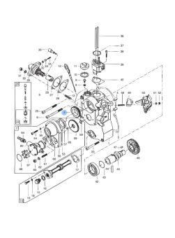 Vetus VF20087 - Gear Wheel