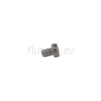 Jabsco X3004-174F - Slotted Cylinder Head Screw M6 x 8mm, Stainless Steel