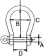 Allpa Stainless Steel Bow Shackle, A=Ø12mm, B=48mm, C=42mm, D=24mm (Breaking Load 7000kg)