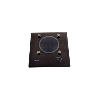 Kenyon Lite Touch Q1 Burner With PUPS 110v 60hz (255701)
