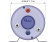 Quick B3 Boiler 20 Liter 220V/800 W