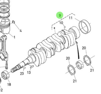 Nanni Diesel 970314243 - Crankshaft Assembly for N4.50 Engines Before No. KTH08040183