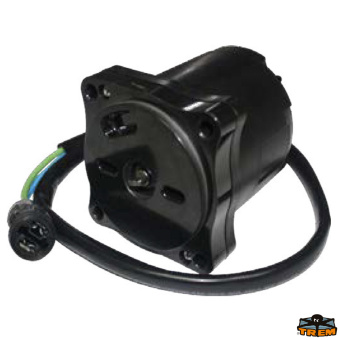 Trem N0136612 - Honda Motor Trim 36120-ZY6-013