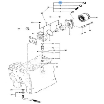 Vetus STM2648 - Plug