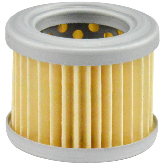 Baldwin Gasoline Filter Element