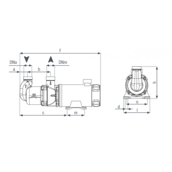 Gianneschi Pump MV44 G 24V