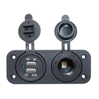 Bukh PRO L0603028 - POWER + 2 PORT USB SOCKET