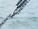 Wichard 2994 - Anchor Chain Hook Stainless Steel 8 mm