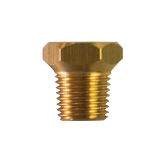 Tecnoseal 02053TP - Bukh Brass Plug Th. 1/4'' NPT (Gas Conico)