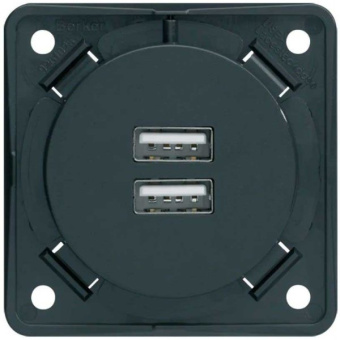 Berker USB Charging Socket A+A 230V, Anthracite 