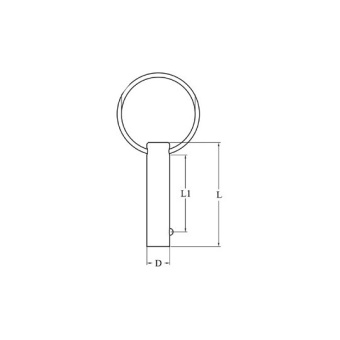 Stainless Steel Removable Pin 6 mm