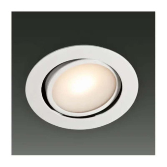 BCM Downlight Newport95 Stainless Steel 4W 10-30V 3000K IP66