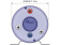 Quick B3 Boiler 15 Liter 220V/800 W