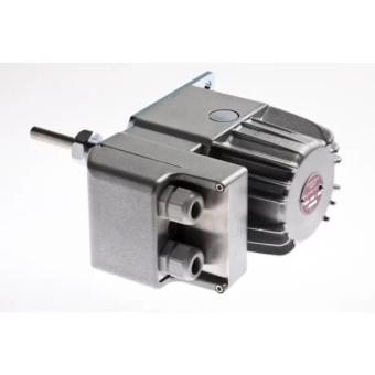 Speich Motor SDCS2 24V D50 075°