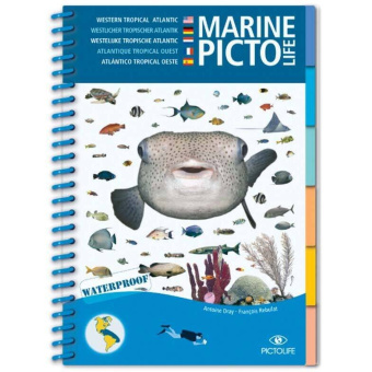 Plastimo 1060902 - Book Pictolife Sailing Atlantic Tropical