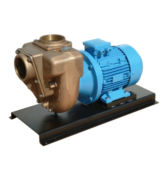 GMP Pump EALE 4 KW 400/690 V Bronze self-suction pump