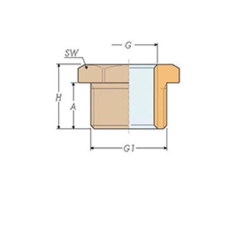 Guidi Reducer 1 1/2"x1/2"