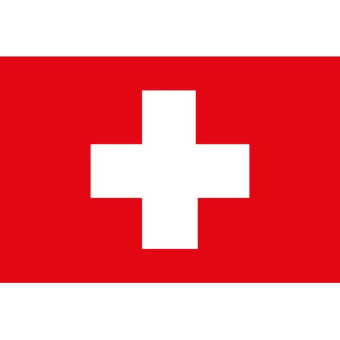 Swiss Flag 40x60cm