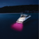 Hella Marine Apelo A1 LED Underwater Light White Dial
