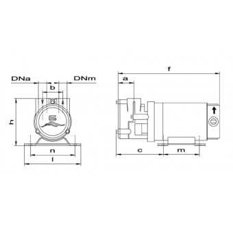 Gianneschi ACB Electropump 12 V