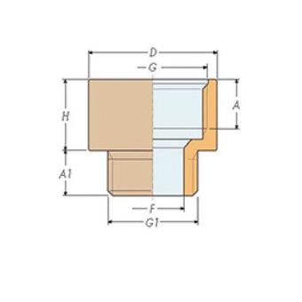 Guidi Reducing Nipple 1/2"NPT x 1/2"BSP