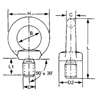 Eye Bolt In AISI 316 Stainless Steel M16