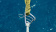 Wichard 2329 - Automatic Mooring Hook SS 12 x 170 mm Wichard 2329 - Automatic Mooring Hook SS 12 x 170 mm
